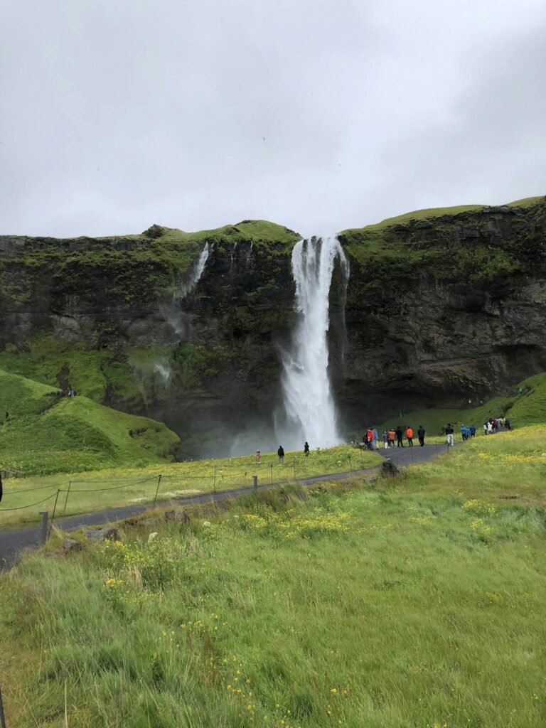 Breathtaking view of Seljalandsfoss waterfall with lush green landscape in Iceland.