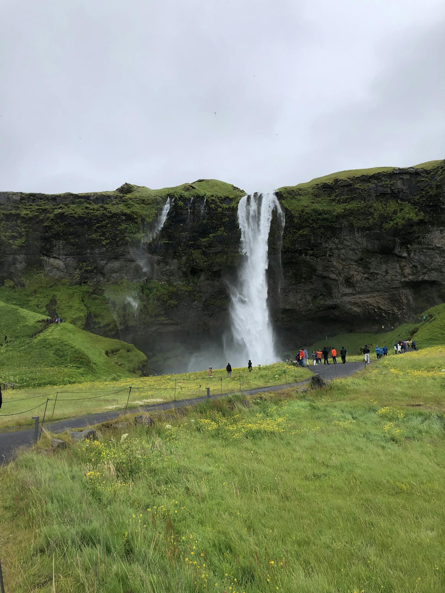 Breathtaking view of Seljalandsfoss waterfall with lush green landscape in Iceland.